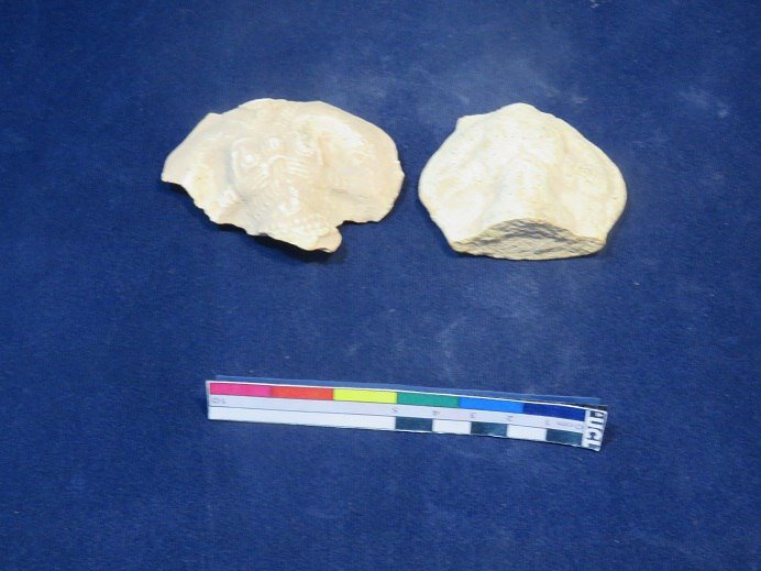 Susa Antik Kenti yakınlarındaki tarım arazisinde Elamit figürünleri bulundu