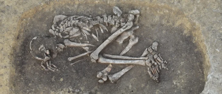Drasenhofen'deki mezarlıktan vebadan ölen 22-27 yaşlarındaki bir adamın mezarı