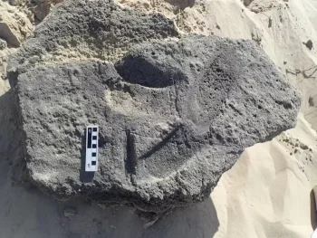 Eski Ayak İzleri, İnsanların 148.000 Yıl Önce Ayakkabı Giydiklerine Dair Kanıtlar Sunuyor