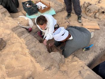 Arkeologlar Mısır'da 5000 yıllık şarap ortaya çıkarıyor