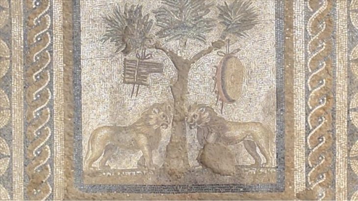 Prusias ad Hypium Antik Kenti'nde "Dionysos Kült Yeri"ni yansıtan bir aslan mozaiği bulundu