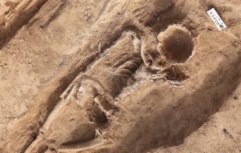 Arkeologlar, 1.000 yıl önce 'kocasının' yanına gömülmüş, yüzünün üst kısmı oyulmuş soylu bir kadın buldular