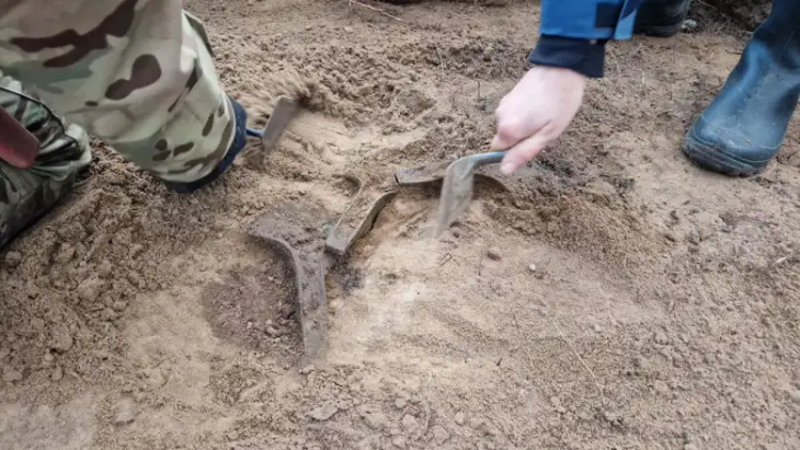 Polonyalı metal dedektör kullanıcısı beş Bronz Çağı baltası keşfetti