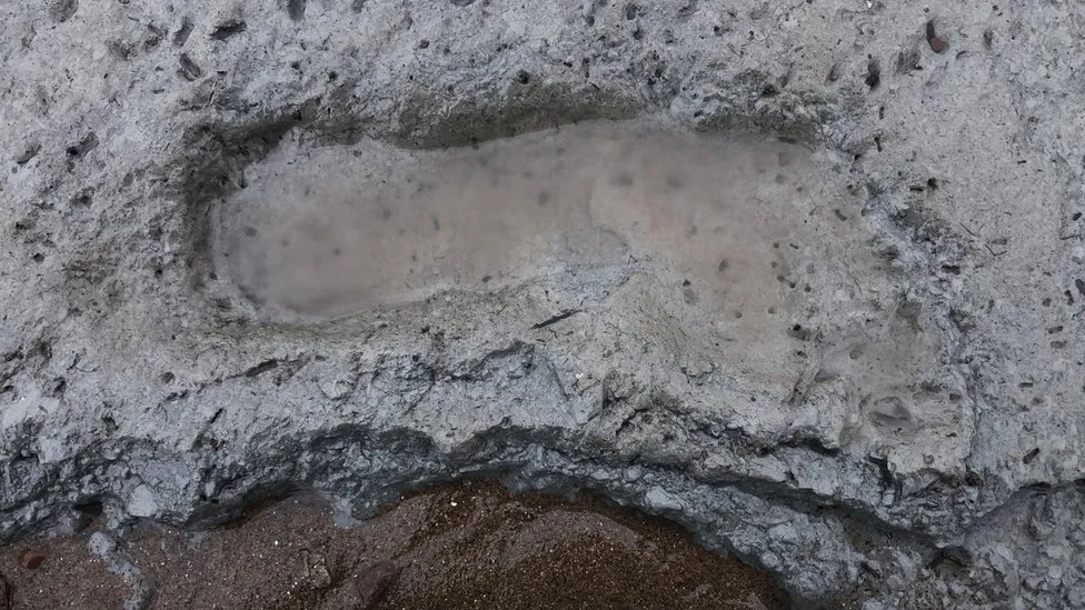 7000-year-old footprints discovered in the Severn Estuary