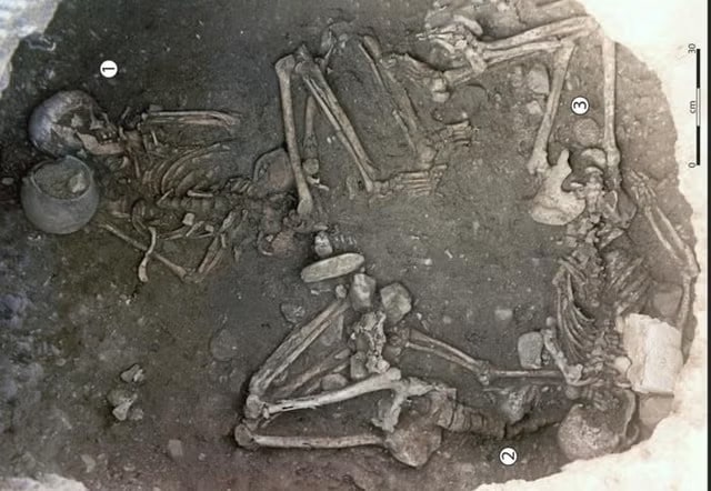 Yeni araştırmanın sonucu Neolitik Avrupa'da kadınların geleneksel olarak kurban edildiği bir düzineden fazla cinayet kanıtı bulundu