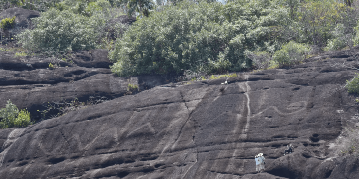 Güney Amerika'da keşfedilen tarih öncesi kaya gravürleri dünyanın en büyüğü olabilir