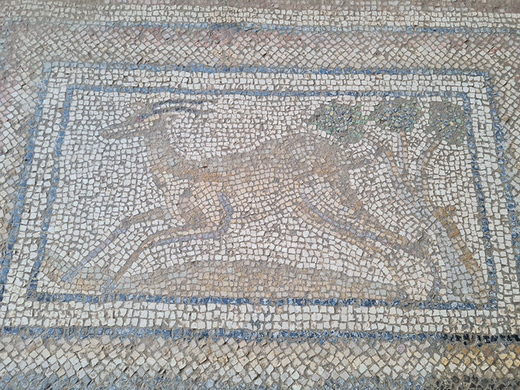 Temel kazısında bulunan Roma mozaikleri gün yüzüne çıkarılıyor