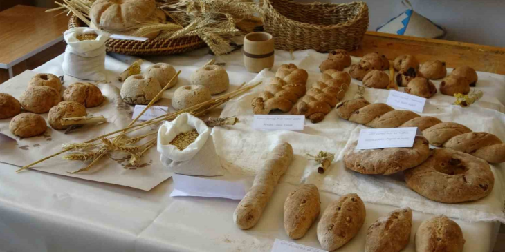 3.500 yıllık tabletler kullanılarak Hitit, Sümer ve Roma dönemlerine ait ekmekler pişirildi