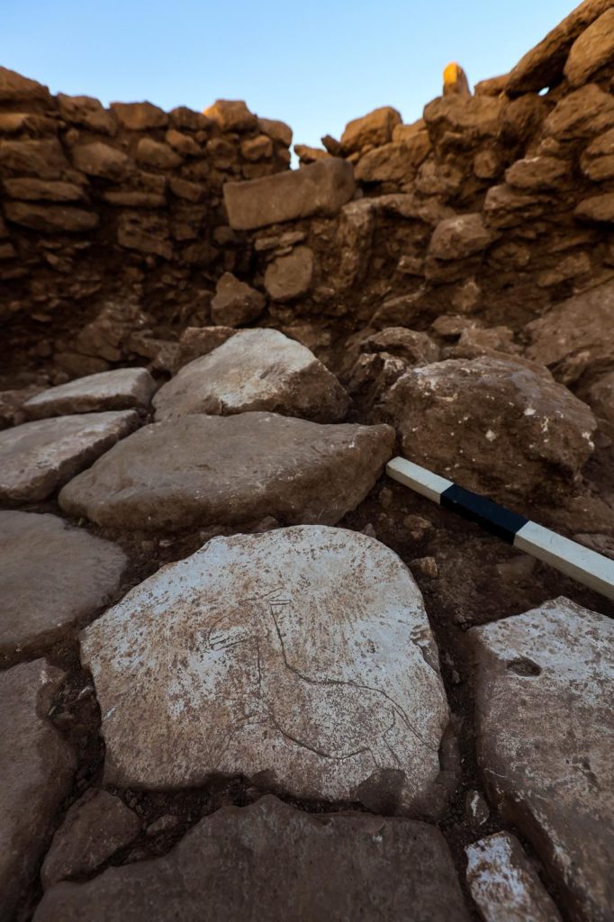 Karahantepe'de yer taşına oyulmuş koşan yaban eşeği figürü keşfedildi