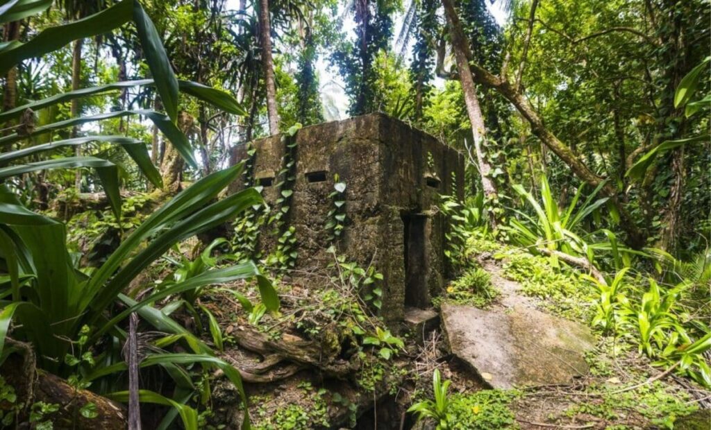 LiDAR Teknolojisi ile Romanya Ormanlarında 5.000 Yıllık Kale Keşfedildi