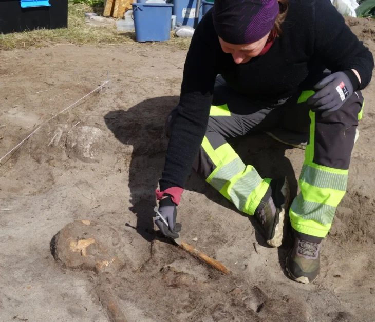 Viking Çağı’ndan Kuzey Norveç’te Nadir Bir Kadın Mezar Keşfi: Köpeğiyle Yan Yana Defnedildi