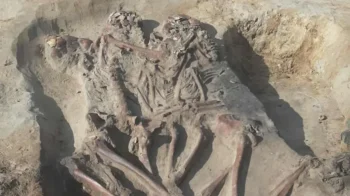 Polonya’da MÖ 8000-7000’e Tarihlenen Mezolitik Toplu Mezar: Bedenleri Birbirine Sarılmış Bir Aile Ortaya Çıktı