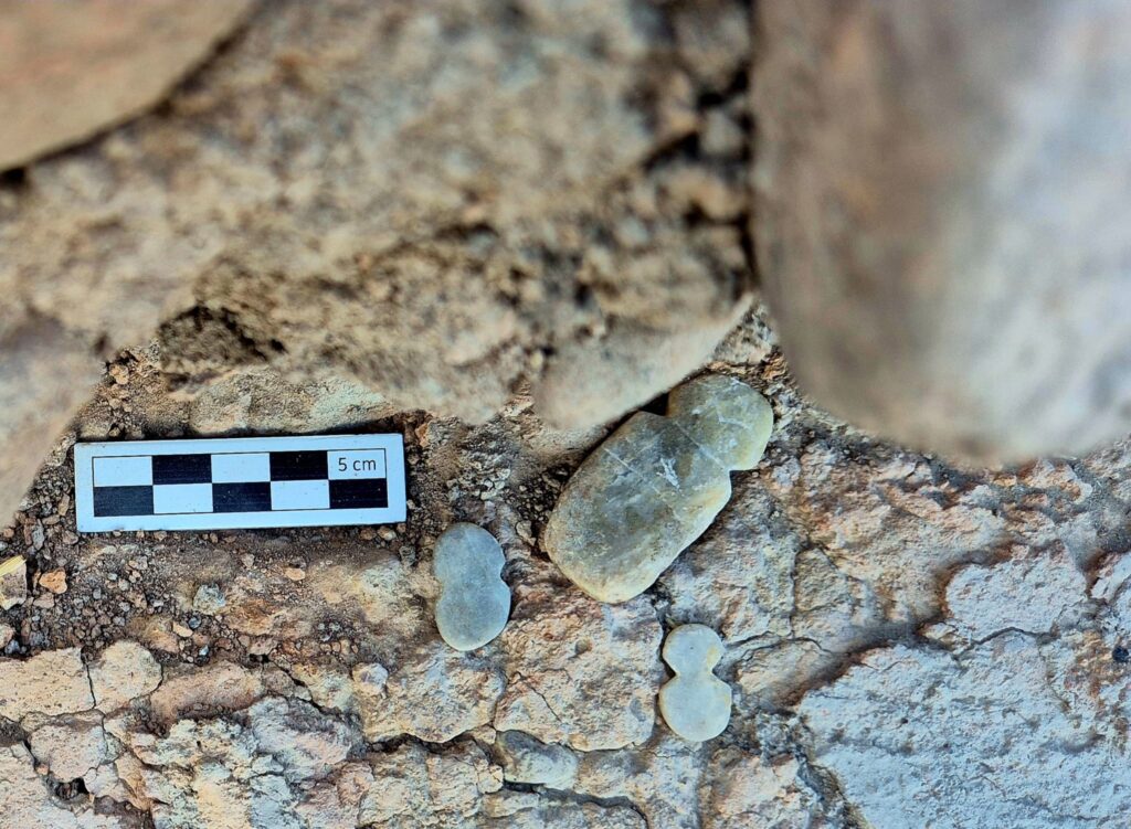 Batı Anadolu’da 4.500 Yıllık İdoller: Tavşanlı Höyük’te Erken Tunç Çağı Ritüel Hazinesi