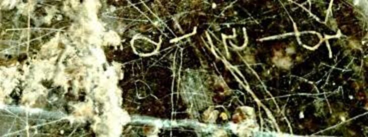 İran’da Sasani Dönemine Ait Kaya Yazıtı Keşfedildi