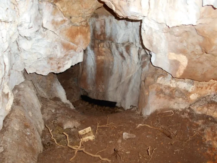 DNA Analiziyle Tanımlandı: 11 Bin Yıllık Kız Çocuğu Kuzey Britanya’nın En Eski Bireyi