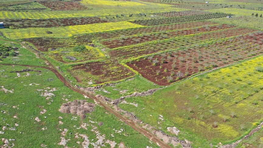 Japon ve Çinli Arkeologlar Şanlıurfa’daki Taş Tepeler Projesi’ne Katılıyor