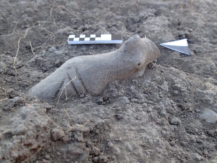 Kanlıtaş Höyük'te Keşfedilen 8 Bin Yıllık Başsız Figürinler Neolitik Yapı Ritüelleriyle İlişkilendiriliyor