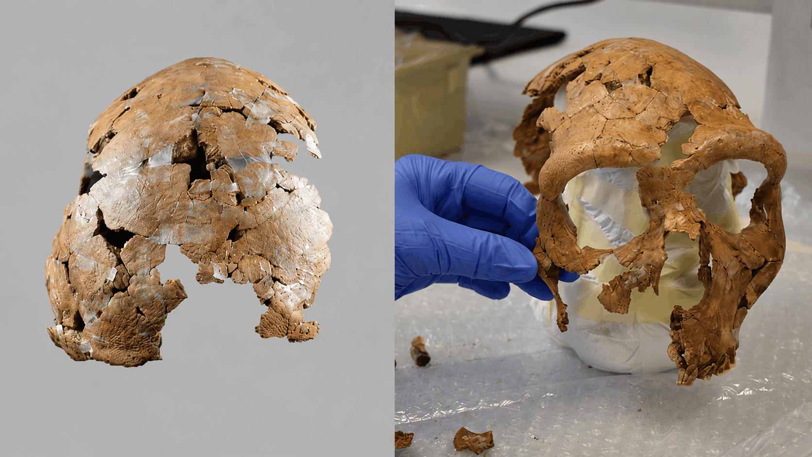 75 Bin Yıllık Ezilmiş Neandertal Kafatası Bilim İnsanlarının Elinde Yeniden Okunabilir Hale Geldi